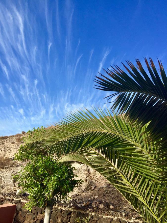 Playa Paraiso Elisabeth 科斯塔卡玛 外观 照片
